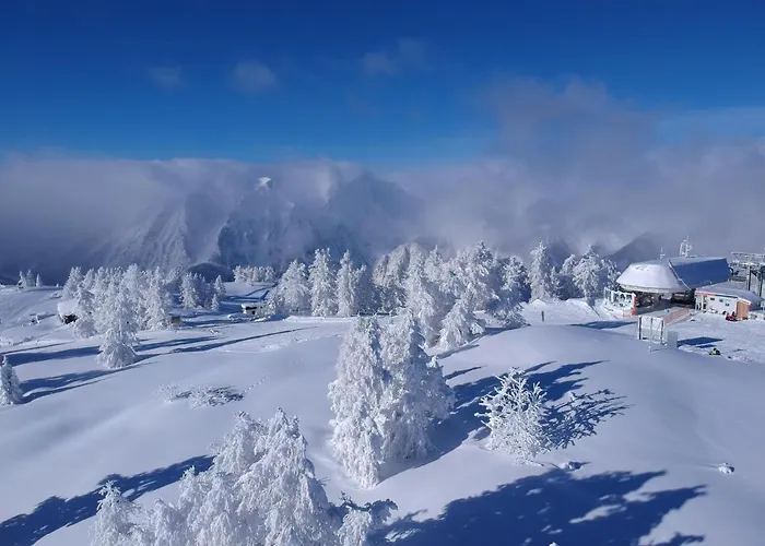 Vital Stoderhof Hotel 3*