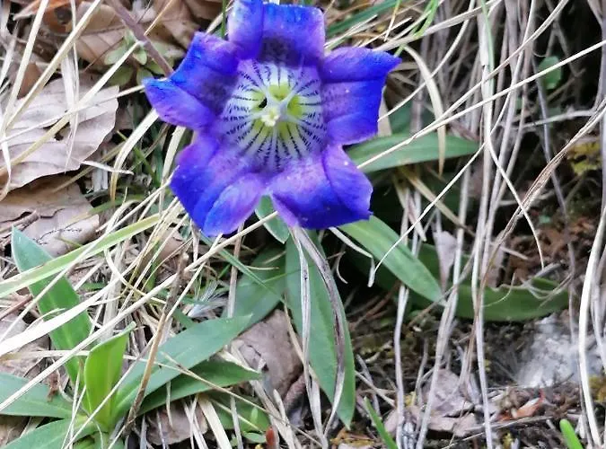 Vital Stoderhof 3* Hinterstoder