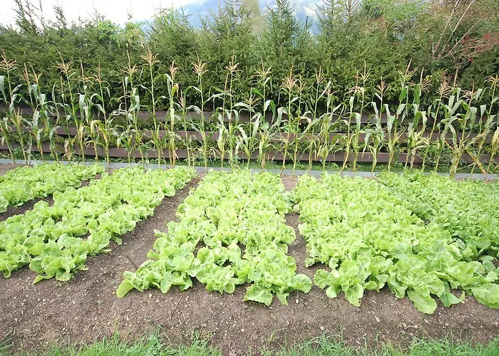 Ξενοδοχείο Vital Stoderhof Hinterstoder