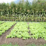 호텔 Vital Stoderhof 힌터스토더